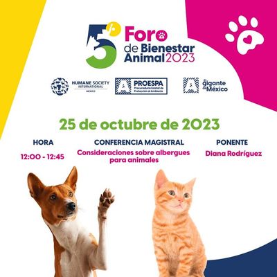 Quinto foro de bienestar animal 2023 contará con la presencia de expertos internacionales; la entrada es libre